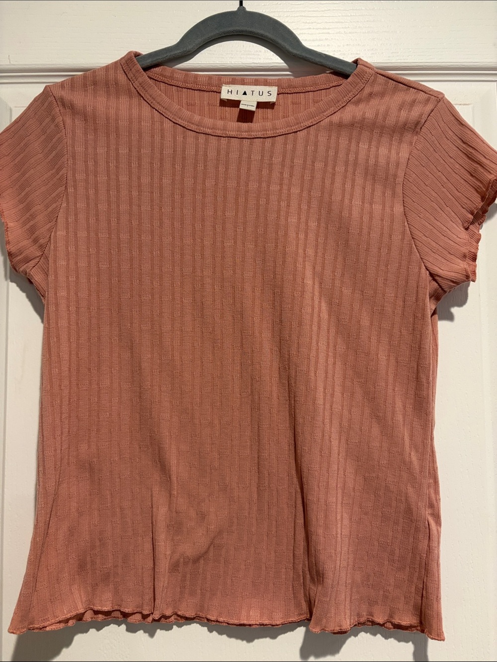 Hiatus Dusty Rose Ribbed Short Sleeve Tee